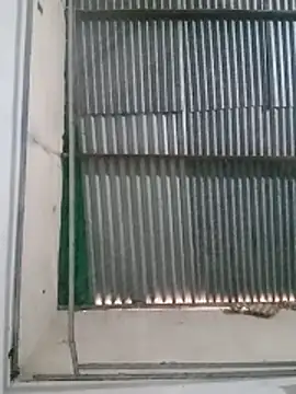 zurdoman penetro online show from March 24, 8:03 pm