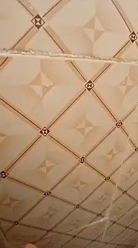 ken tanaka online show from February 18, 3:31 am