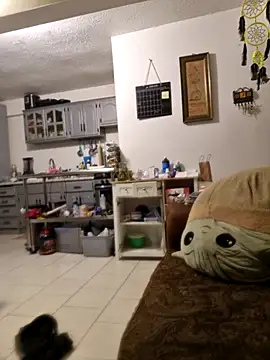 abdierkader online show from November 12, 9:03 pm