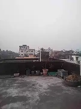 Jeetshine 1234 online show from December 23, 12:30 am