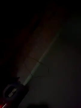 imissyoumylove14 online show from January 21, 7:47 am