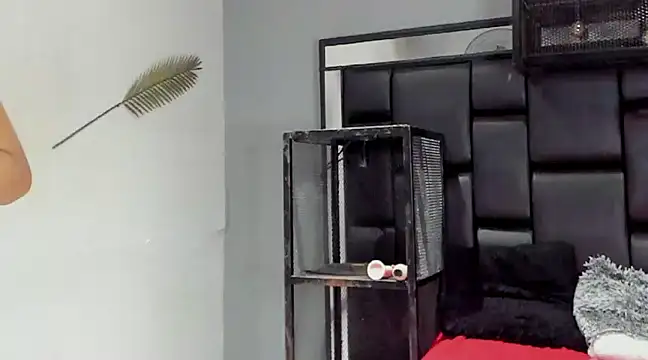 NovaMicheel online show from December 4, 6:55 am