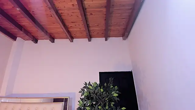 Snapshot of im_sebaslopez chatting on January 17, 8:01 pm im sebaslopez online show from January 17, 8:01 pm