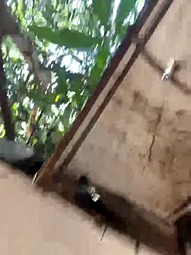 Morguisssz online show from December 18, 6:36 pm