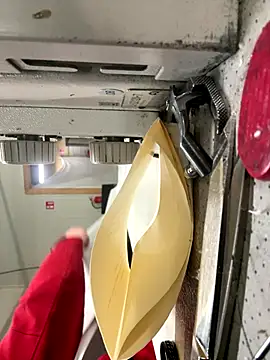 Mustafa-231 online show from November 28, 2:42 pm