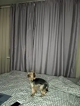 Snapshot of Cute_Barbieee_ chatting on December 6, 10:08 pm Cute Barbieee online show from December 6, 10:08 pm