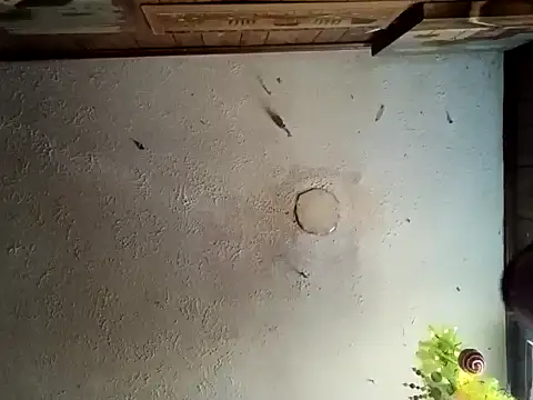 realoneNocap online show from November 12, 5:57 pm