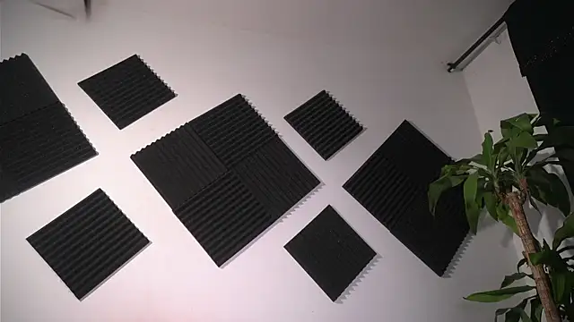 Ambeer Rousess online show from April 10, 12:27 am