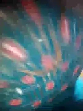 Snapshot of Ruby_Sc chatting on December 8, 1:36 pm Ruby Sc online show from December 8, 1:36 pm