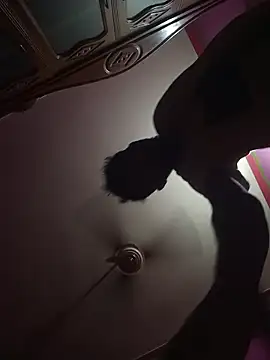 Mastar212 online show from November 23, 8:14 am