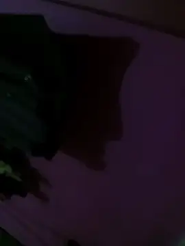 Mastar212 online show from December 2, 8:26 pm