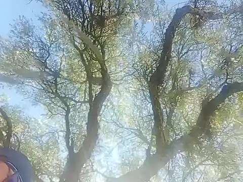 Darly Gomez online show from December 22, 3:22 pm