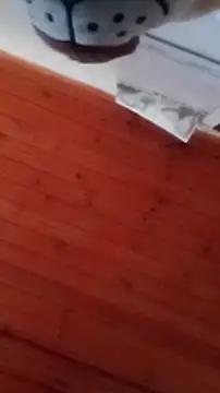 Darly Gomez online show from December 31, 4:46 pm