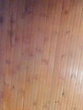 Darly Gomez online show from January 13, 7:21 pm