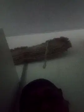 Darly Gomez online show from February 9, 5:33 pm