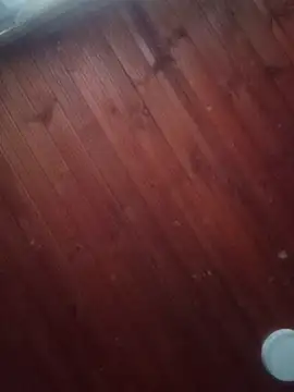 Darly Gomez online show from March 3, 10:10 pm