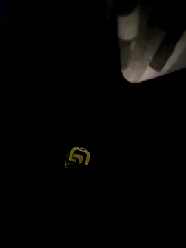 sanek1995sexx online show from September 28, 2:39 am