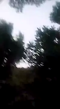 Snapshot of Danna-linyi chatting on December 20, 11:37 pm Danna-linyi online show from December 20, 11:37 pm