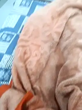 Kakabiraji online show from November 8, 5:01 pm