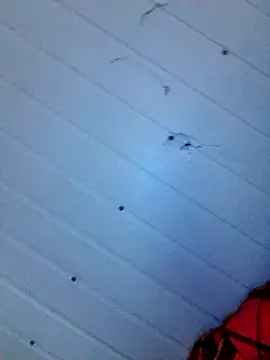 Snapshot of frotasso chatting on December 12, 4:15 am frotasso online show from December 12, 4:15 am