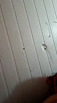 Snapshot of frotasso chatting on January 1, 10:32 am frotasso online show from January 1, 10:32 am