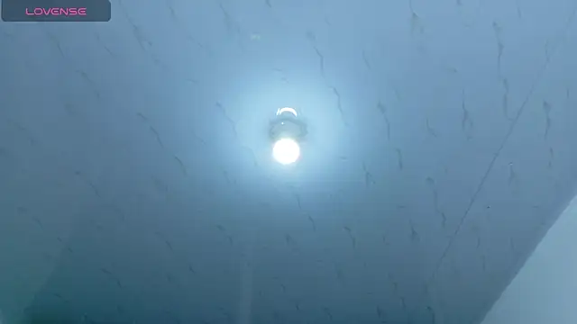 Beautifulkattia online show from February 14, 12:29 am