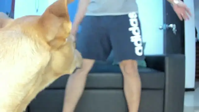 boss of cash online show from October 18, 1:30 am