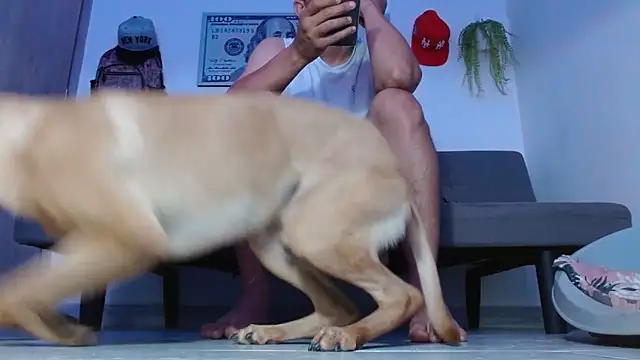 boss of cash online show from April 2, 8:28 pm