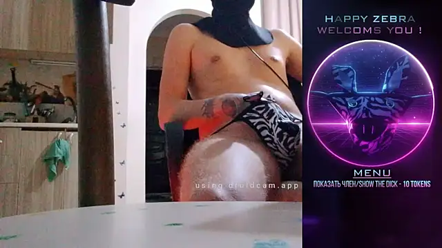 HappyZebra13 online show from December 12, 8:32 pm