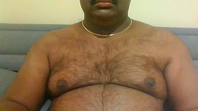 indianbearbot online show from January 11, 8:54 pm