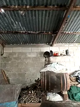 Eleni Pappa online show from March 18, 8:39 am