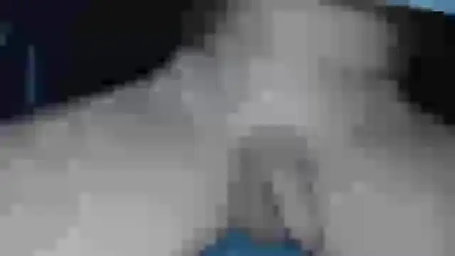 cs1512 online show from February 13, 6:38 pm