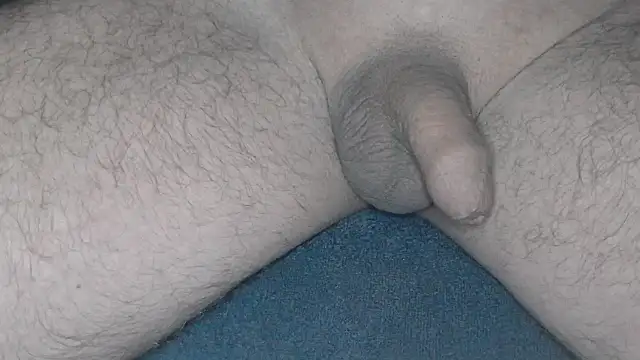 cs1512 online show from February 26, 4:36 am