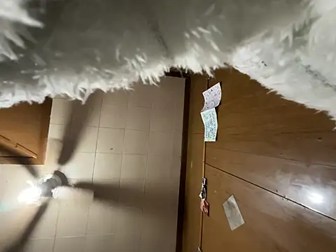 carmelbbyx22 online show from March 29, 12:38 pm