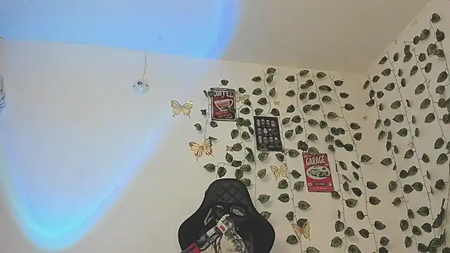 skinny dann online show from February 19, 4:12 am