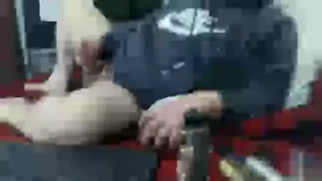 party51502 online show from February 7, 3:05 pm