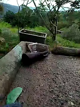 Snapshot of crazysex095 chatting on January 2, 8:46 pm crazysex095 online show from January 2, 8:46 pm