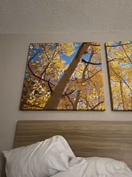 kayNkris online show from February 7, 10:13 pm