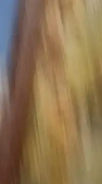 mksharma-mastlund online show from January 21, 3:48 am