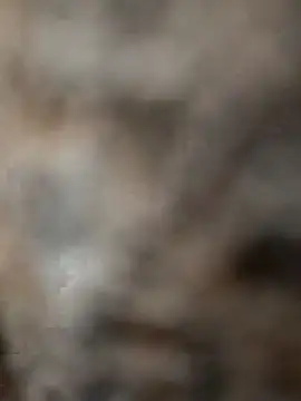 mksharma-mastlund online show from January 24, 4:05 am