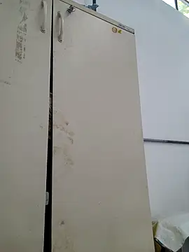 tesaodaweb online show from February 21, 10:16 am