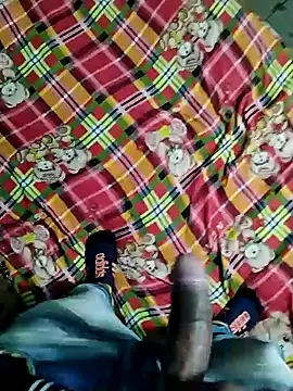 Snapshot of Kingxey chatting on December 31, 11:09 am Kingxey online show from December 31, 11:09 am