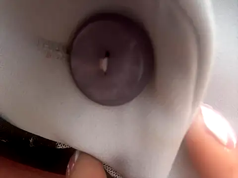 BELLA--26 online show from October 27, 1:48 pm