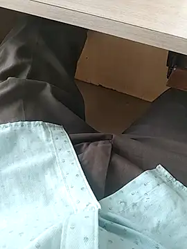 teluguu-rajj online show from November 27, 4:47 am