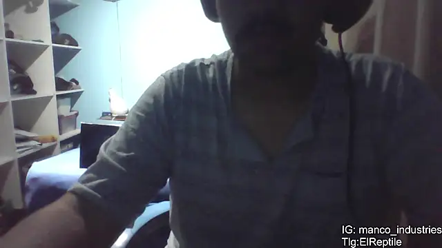 Snapshot of Elrep_tile chatting on February 7, 1:53 am Elrep tile online show from February 7, 1:53 am