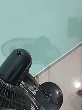 Desi Heat online show from March 19, 3:05 pm