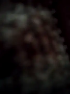 Snapshot of RODRI_POLLADURA chatting on November 28, 2:42 pm RODRI POLLADURA online show from November 28, 2:42 pm