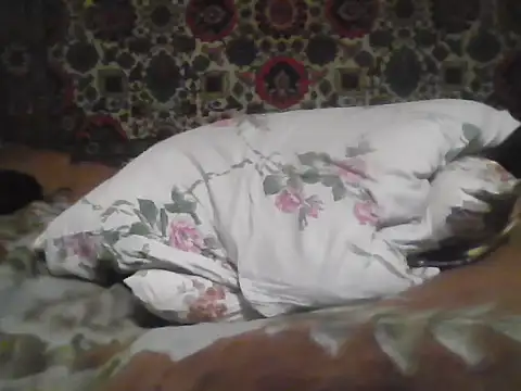 AlferezzSolvajo online show from December 3, 6:17 pm