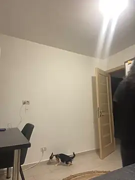 NNNoire online show from September 26, 10:41 am