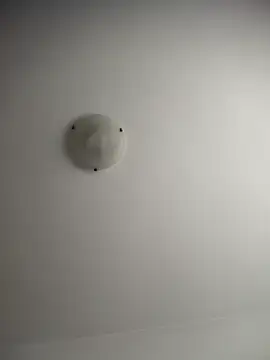 NNNoire online show from December 20, 10:33 am